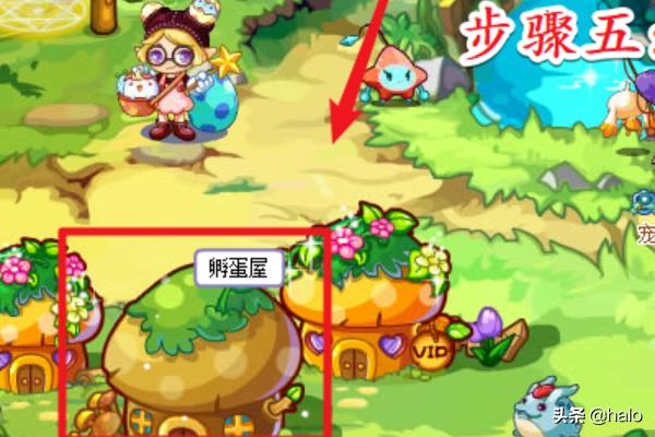 洛克王国阿布之蛋_洛克王国阿布之蛋为什么没有了 洛克王国阿布之蛋_洛克王国阿布之蛋为什么没有了