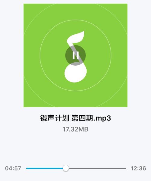 媒体播放器_媒体播放器打不开mp4文件