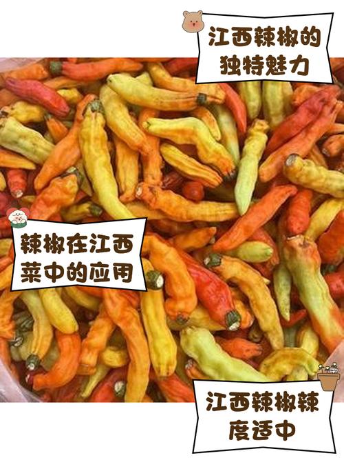 辣椒视频_辣椒视频怎么不能看了