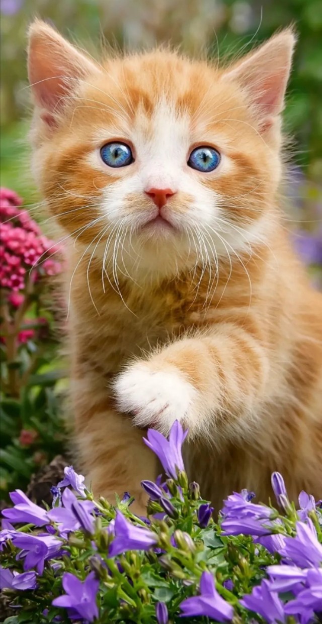 解落三秋叶能开二月花写的是什么_解落三秋叶能开二月花写的是什么季节 解落三秋叶能开二月花写的是什么_解落三秋叶能开二月花写的是什么季节