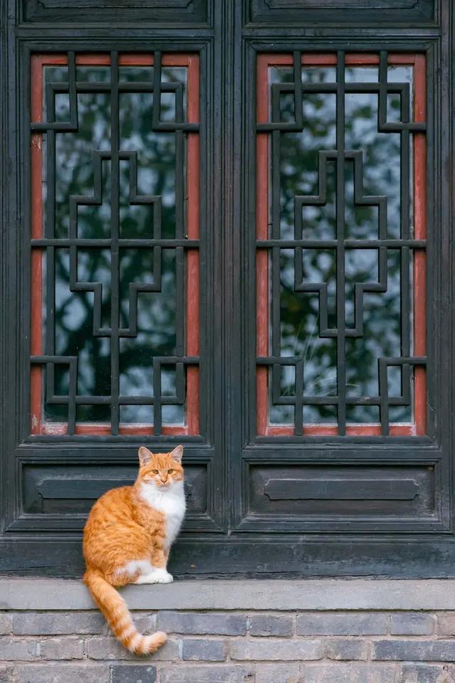 解落三秋叶能开二月花写的是什么_解落三秋叶能开二月花写的是什么季节 解落三秋叶能开二月花写的是什么_解落三秋叶能开二月花写的是什么季节