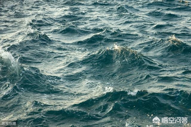 解落三秋叶能开二月花写的是什么_解落三秋叶能开二月花写的是什么季节 解落三秋叶能开二月花写的是什么_解落三秋叶能开二月花写的是什么季节