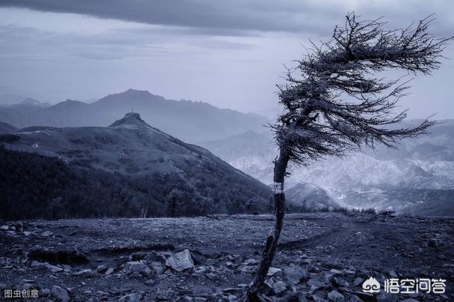 解落三秋叶能开二月花写的是什么_解落三秋叶能开二月花写的是什么季节 解落三秋叶能开二月花写的是什么_解落三秋叶能开二月花写的是什么季节
