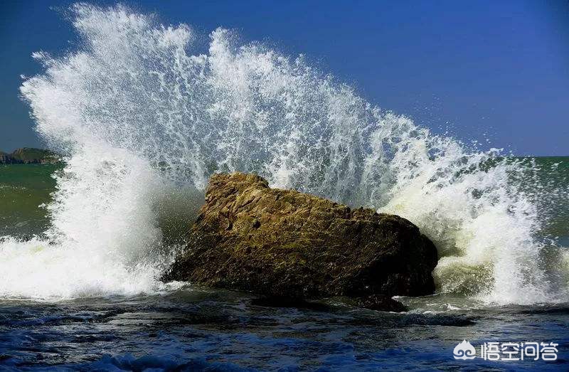 解落三秋叶能开二月花写的是什么_解落三秋叶能开二月花写的是什么季节 解落三秋叶能开二月花写的是什么_解落三秋叶能开二月花写的是什么季节
