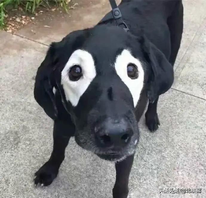 fm2007修改器_FM2007修改器 fm2007修改器_FM2007修改器