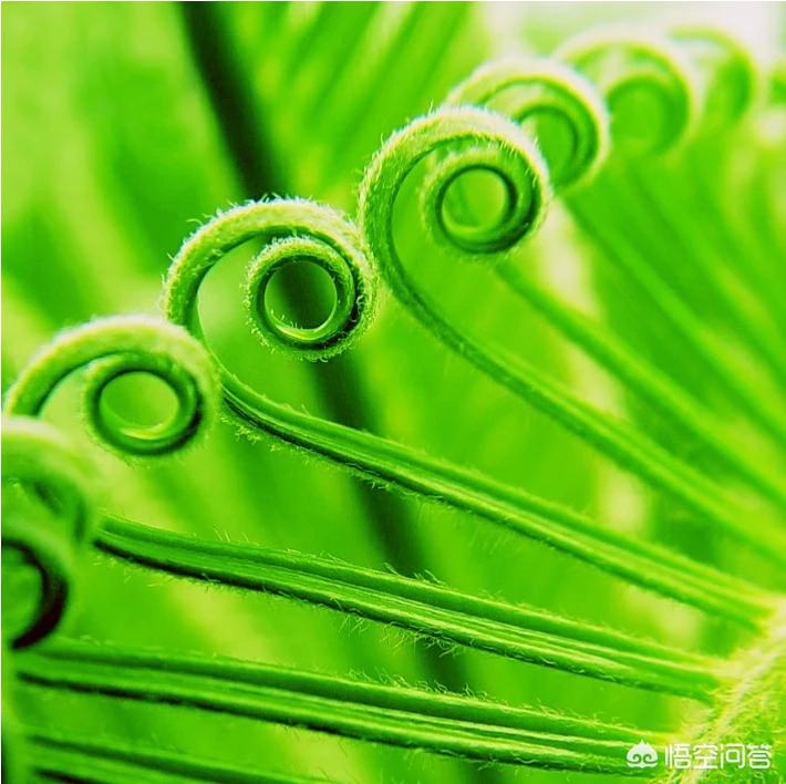 鲁迅电影院_鲁迅电影院今日放映表 鲁迅电影院_鲁迅电影院今日放映表