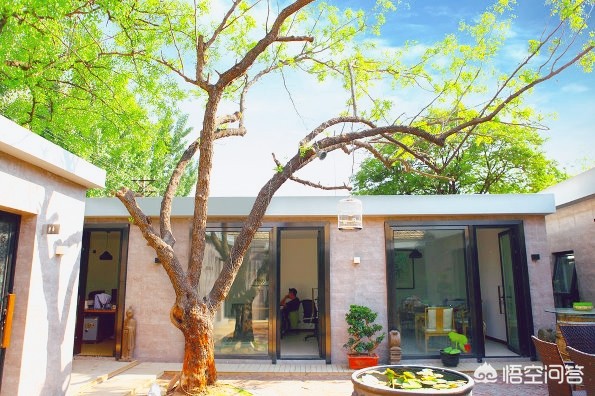 鲁迅电影院_鲁迅电影院今日放映表 鲁迅电影院_鲁迅电影院今日放映表