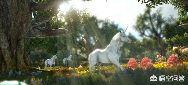 魔兽光明与黑暗_魔兽光明与黑暗隐藏英雄 魔兽光明与黑暗_魔兽光明与黑暗隐藏英雄