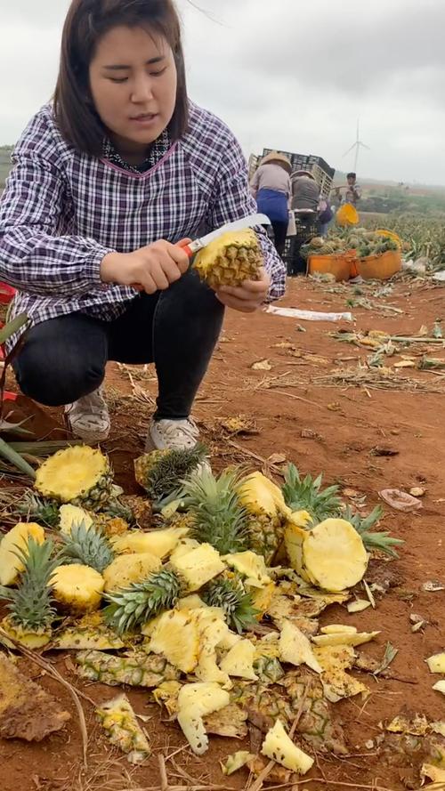 菠萝视频_菠萝视频在线观看免费播放电视剧全
