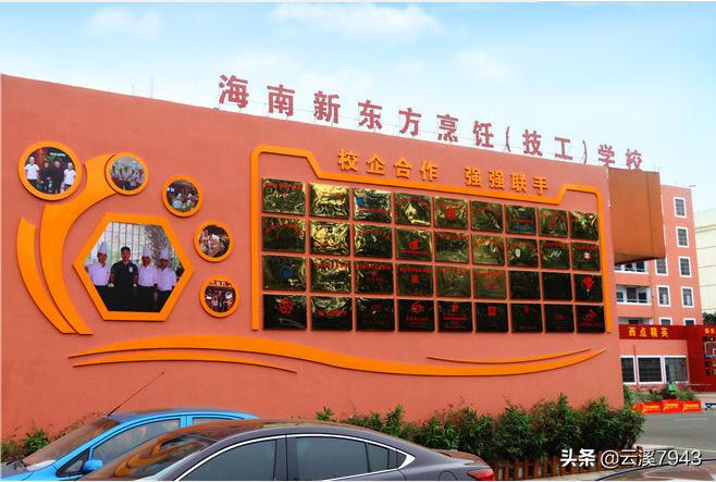 菠萝视频_菠萝视频在线观看免费播放电视剧全 菠萝视频_菠萝视频在线观看免费播放电视剧全