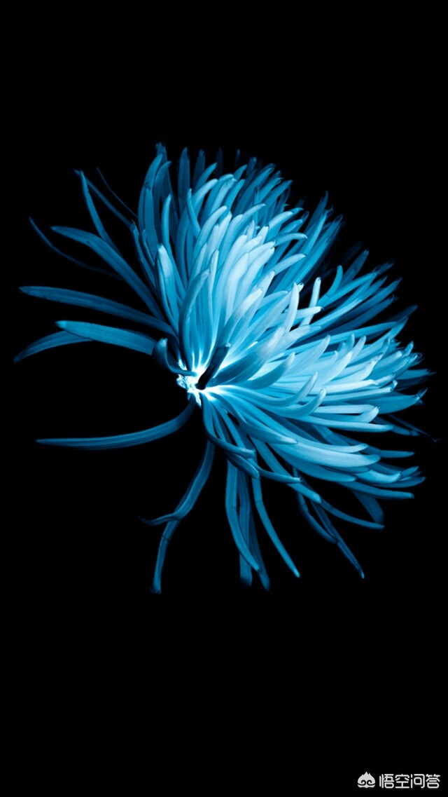 dnf封号记录_DNF封号记录查询 dnf封号记录_DNF封号记录查询